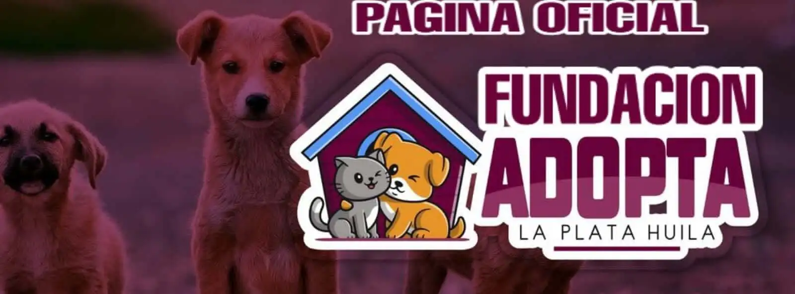 Adopta La Plata